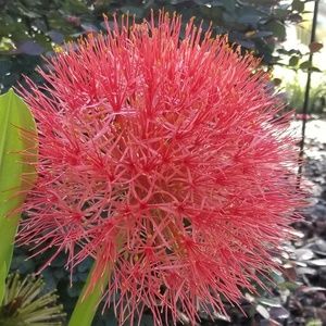 Meet your Posher, Michele